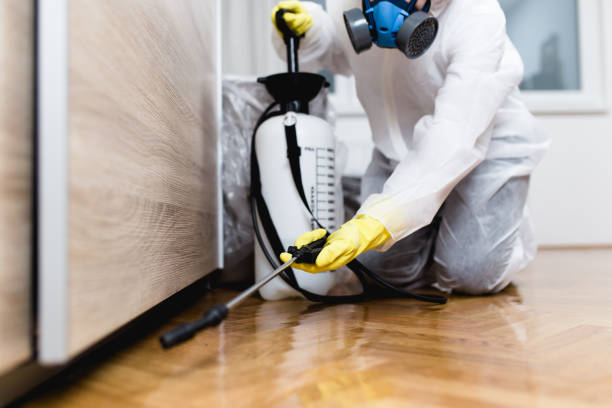 Best Pest Removal Services  in Thomas, OK
