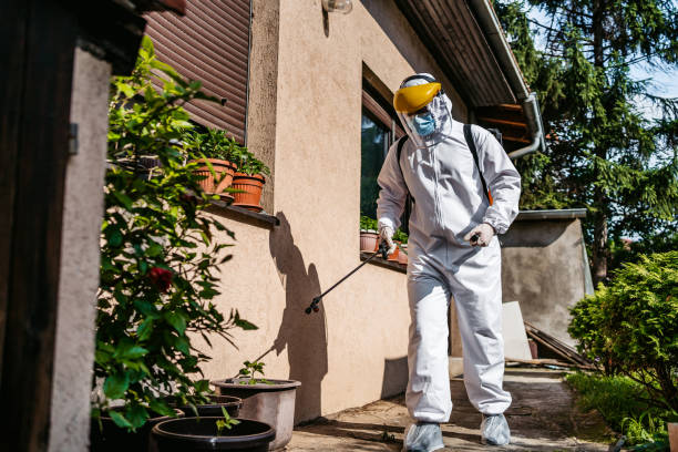 Wasp Removal Services in Thomas, OK