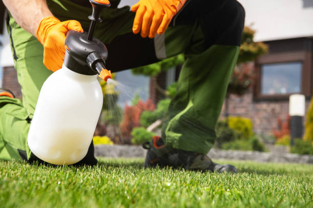 Best Flea Control Services  in Thomas, OK