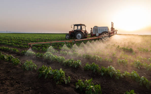 Pest Prevention Services in Thomas, OK
