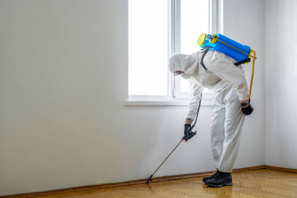 Best Pest Control for Businesses  in Thomas, OK