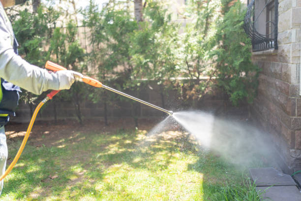 Best Wasp Removal Services  in Thomas, OK