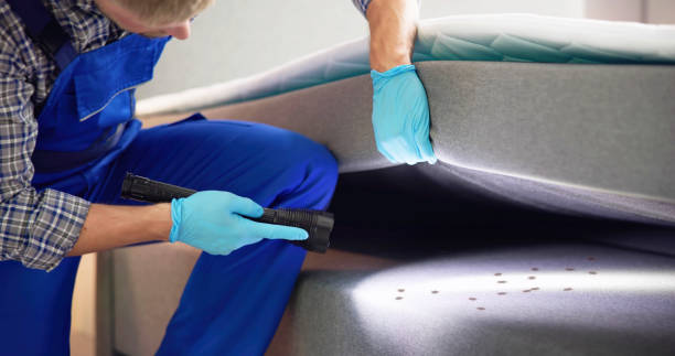 Best Ant Control Services  in Thomas, OK