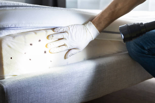 Best Pest Control Near Me  in Thomas, OK
