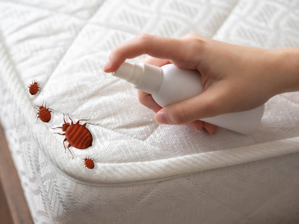 Best Pest Prevention Services  in Thomas, OK