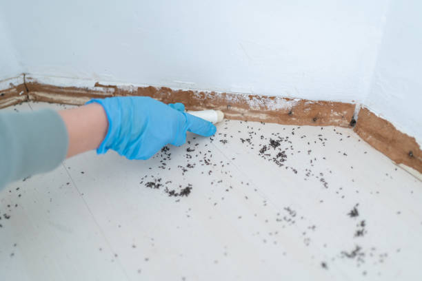 Best Pest Inspection Near Me  in Thomas, OK