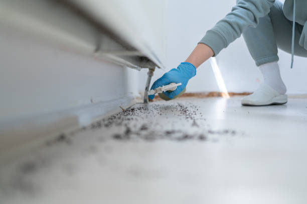 Best Local Pest Control Services  in Thomas, OK
