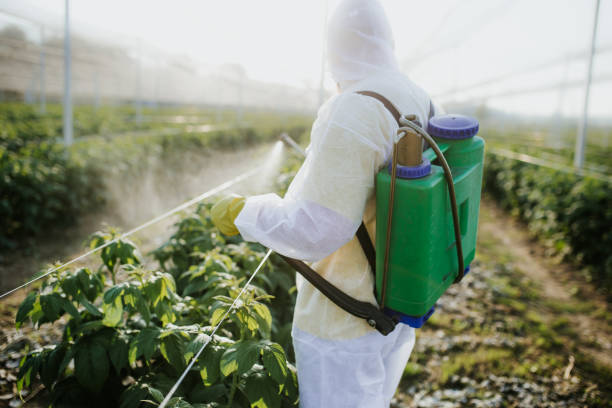 Trusted Thomas, OK Pest Control Experts